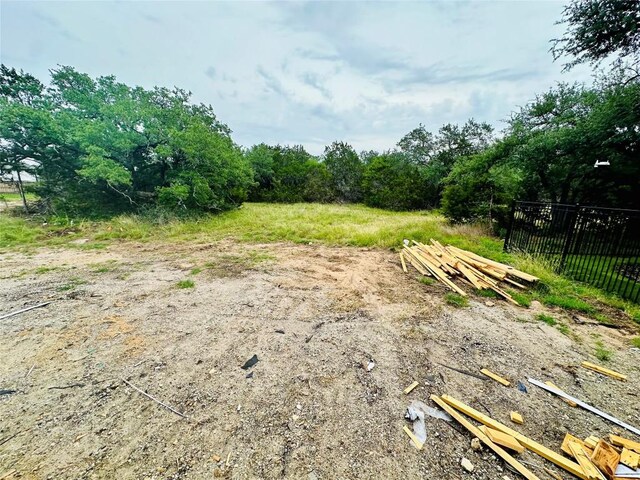 619 Sage Thrasher Cir, Dripping Springs, TX 78620 - view of yard
