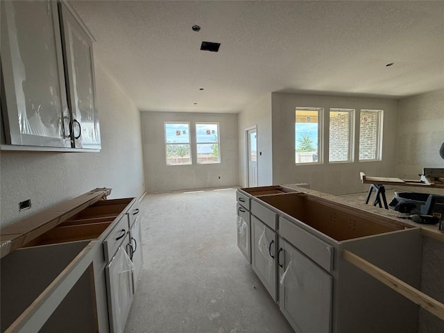1333 Dog Iron St, Georgetown, TX 78633 - photo 13