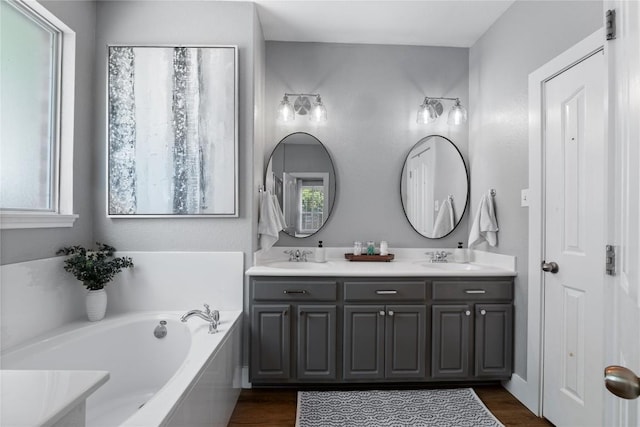 3431 Ranch Park Trl, Round Rock, TX 78681 - full bathroom with plenty of natural light, double vanity, a garden tub, and wood finished floors