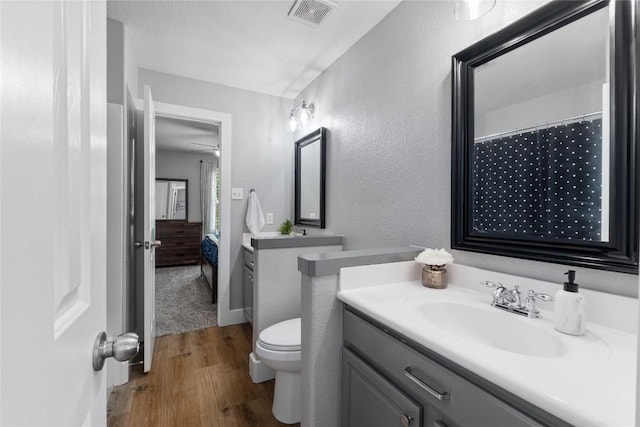 3431 Ranch Park Trl, Round Rock, TX 78681 - full bathroom with vanity, wood finished floors, and a textured wall