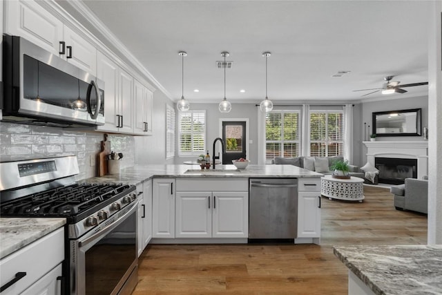 3431 Ranch Park Trl, Round Rock, TX 78681 - kitchen featuring appliances with stainless steel finishes, a glass covered fireplace, a peninsula, crown molding, and light wood-style floors