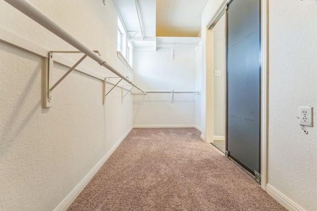 11001 Alison Parke Trl, Austin, TX 78750 - photo 27