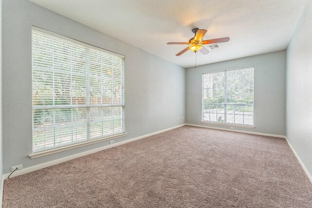 11001 Alison Parke Trl, Austin, TX 78750 - photo 23
