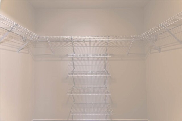 1504 Morning Mist Ln, Pflugerville, TX 78660 - view of spacious closet