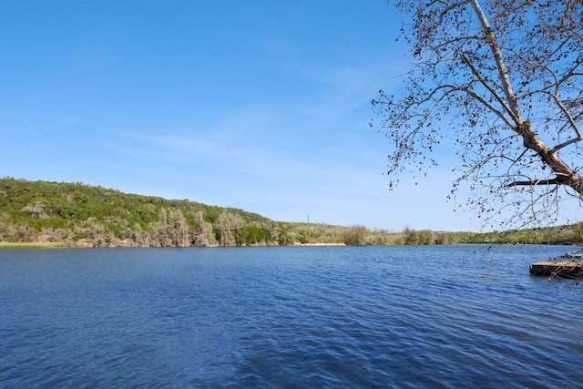 10810 River Terrace Cir, Austin, TX 78733 - water view