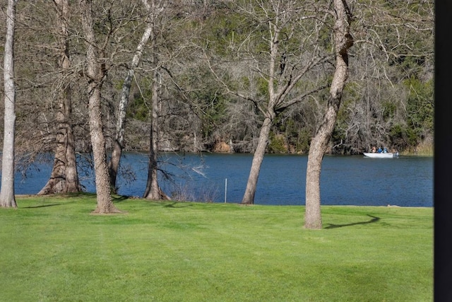 10810 River Terrace Cir, Austin, TX 78733 - water view