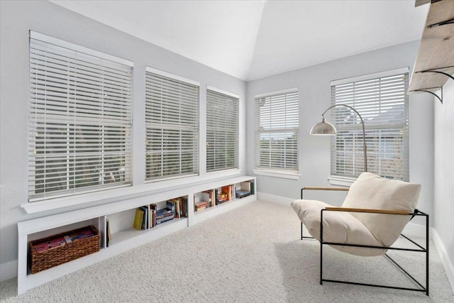 5304 China Garden Dr, Austin, TX 78730 - sitting room featuring carpet flooring and lofted ceiling