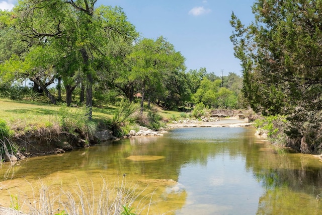 4073 Bell Springs Rd, Dripping Springs, TX 78620 - photo 4