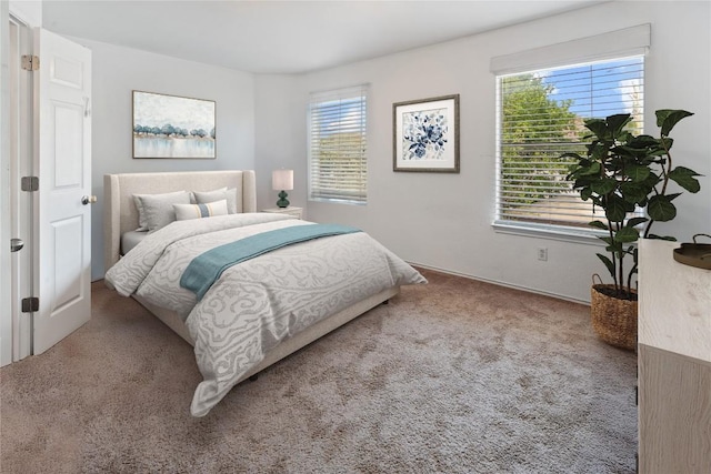 1424 Roxannes Run, Pflugerville, TX 78660 - bedroom with carpet flooring