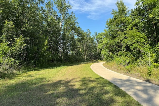1925 T H Johnson Dr, Taylor, TX 76574 - surrounding community with a lawn and a view of trees