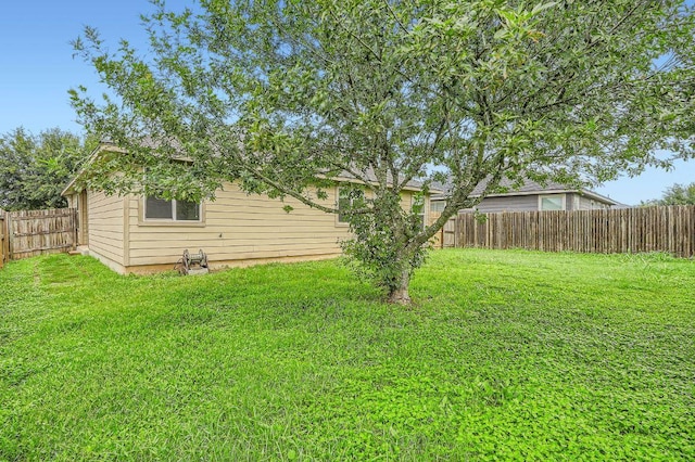 110 Encina Cv, San Marcos, TX 78666 - photo 17