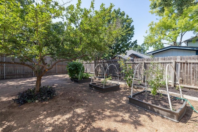 8204 Ito Cv, Austin, TX 78729 - fenced backyard with a vegetable garden