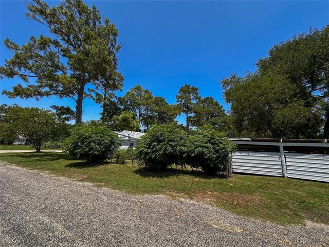 407 4th Ave, Smithville, TX 78957 - view of yard
