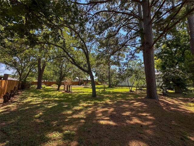 407 4th Ave, Smithville, TX 78957 - view of yard