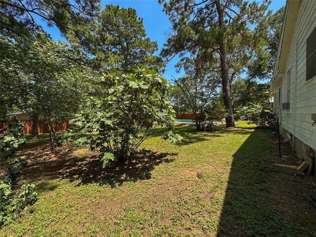 407 4th Ave, Smithville, TX 78957 - view of green lawn