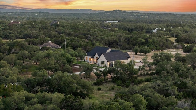 208 Stonegate Ln, Dripping Springs, TX 78620 - photo 34