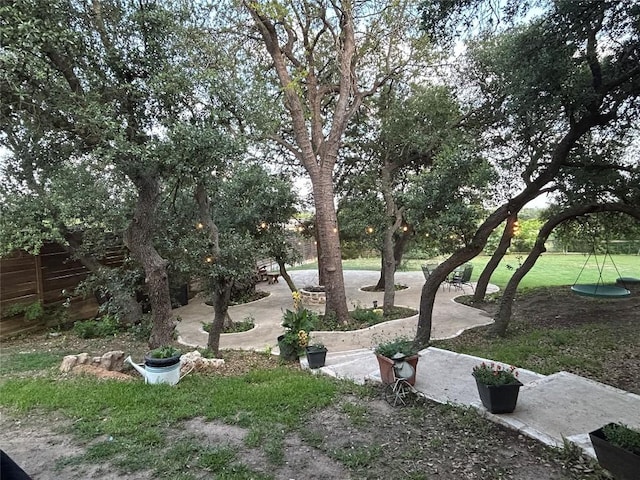 304 Bluestem Cv, Georgetown, TX 78633 - view of yard