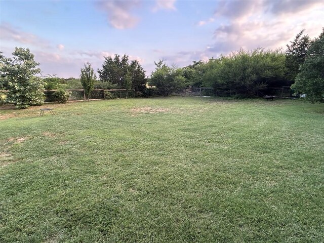 304 Bluestem Cv, Georgetown, TX 78633 - view of yard