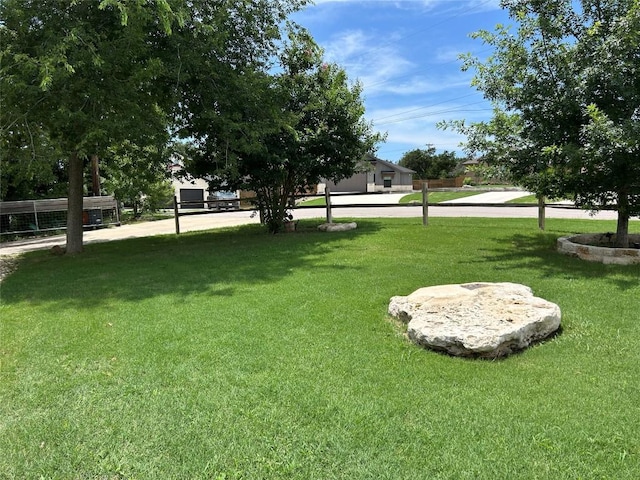 304 Bluestem Cv, Georgetown, TX 78633 - view of grassy yard