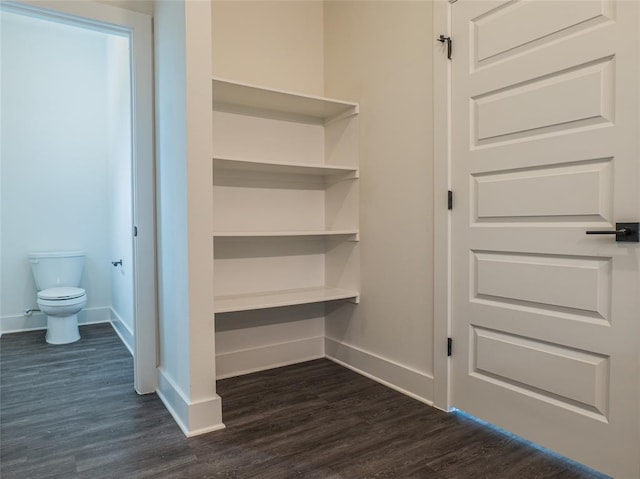 2009 Iroquois Ln Unit B, Austin, TX 78741 - view of closet