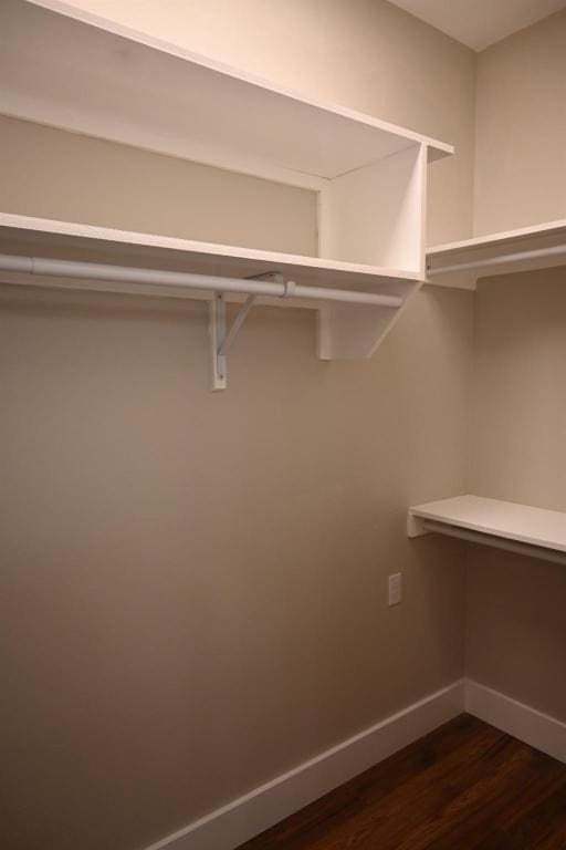 215 E 8th St, Elgin, TX 78621 - spacious closet with dark wood-style flooring