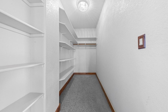 8300 Money Pit Rd, Killeen, TX 76542 - walk in closet with carpet