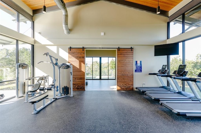 2437 Burberry Ln, Leander, TX 78641 - exercise room with a high ceiling, healthy amount of natural light, and a barn door