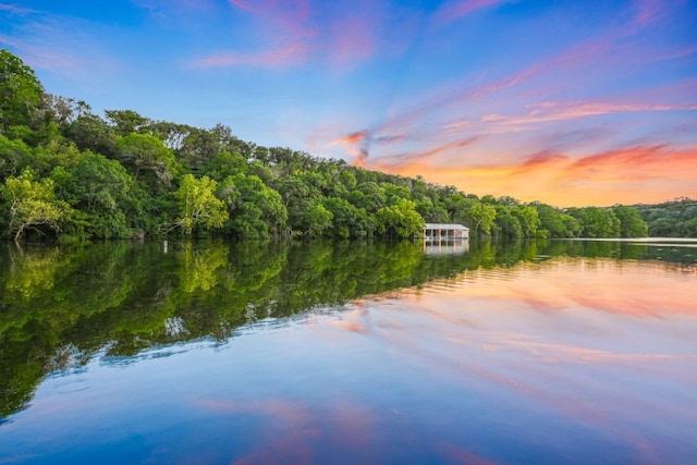 5217 S Scout Island Cir, Austin, TX 78731 - water view featuring a forest