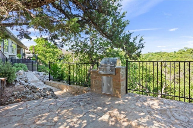 2501 Woodbine Cir, Georgetown, TX 78628 - view of patio with area for grilling