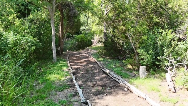 2501 Woodbine Cir, Georgetown, TX 78628 - photo 5