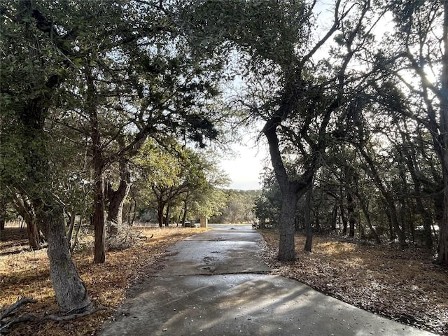 12304 Triple Creek Cir, Dripping Springs, TX 78620 - view of road