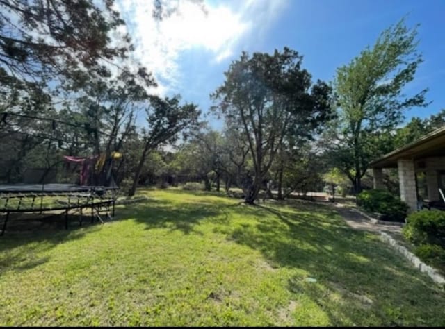 12304 Triple Creek Cir, Dripping Springs, TX 78620 - photo 7