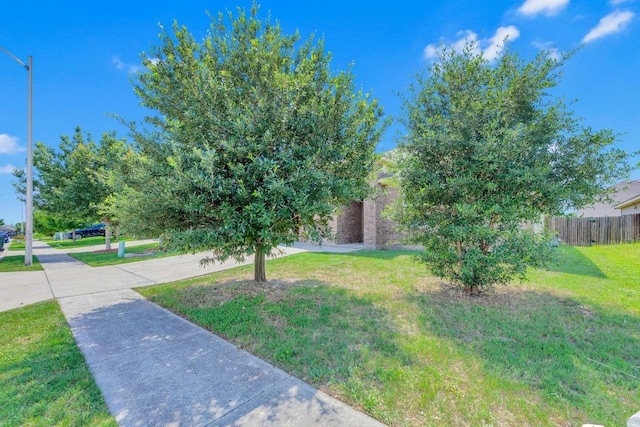 608 Silver Wing Dr, Austin, TX 78725 - view of yard