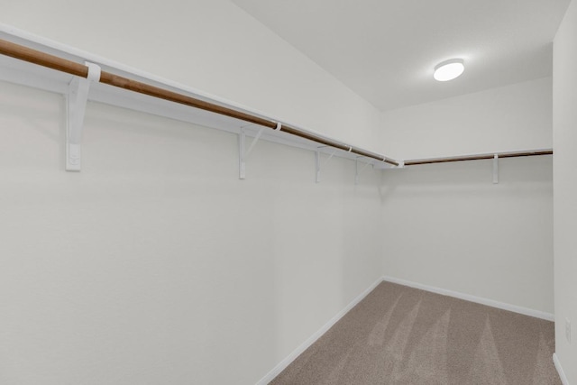 608 Silver Wing Dr, Austin, TX 78725 - spacious closet featuring carpet flooring