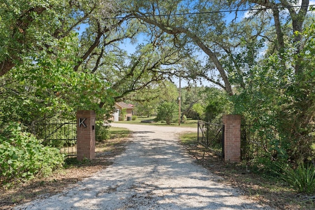 11551 Fm 32, Fischer, TX 78623 - view of dirt / gravel driveway featuring a gated entry