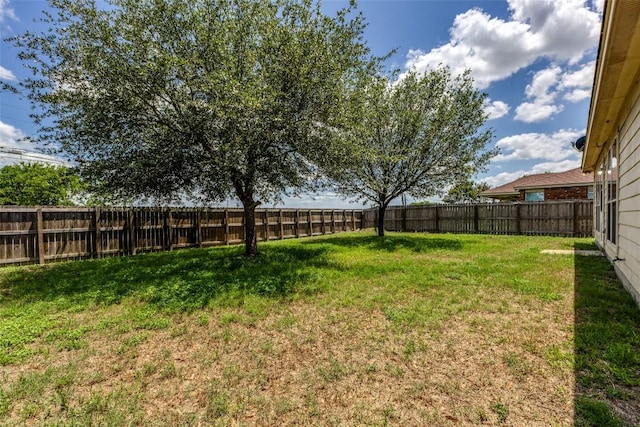 1514 Paint Brush Dr, Lockhart, TX 78644 - photo 26