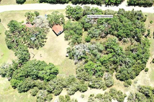 12600 Trail Driver St, Austin, TX 78737 - photo 11