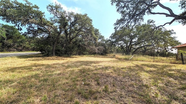 12600 Trail Driver St, Austin, TX 78737 - photo 14