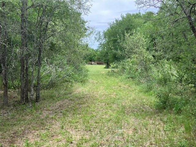 317 Pleasant Grove Loop, Elgin, TX 78621 - photo 6