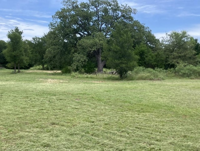 317 Pleasant Grove Loop, Elgin, TX 78621 - photo 2
