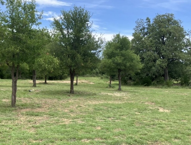 317 Pleasant Grove Loop, Elgin, TX 78621 - photo 5