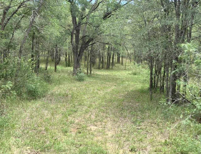 317 Pleasant Grove Loop, Elgin, TX 78621 - photo 7