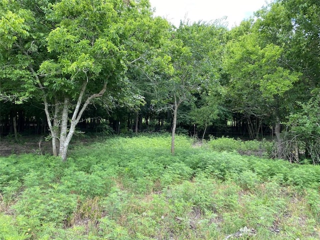 TBD County Road 156, Georgetown, TX 78626 - photo 7