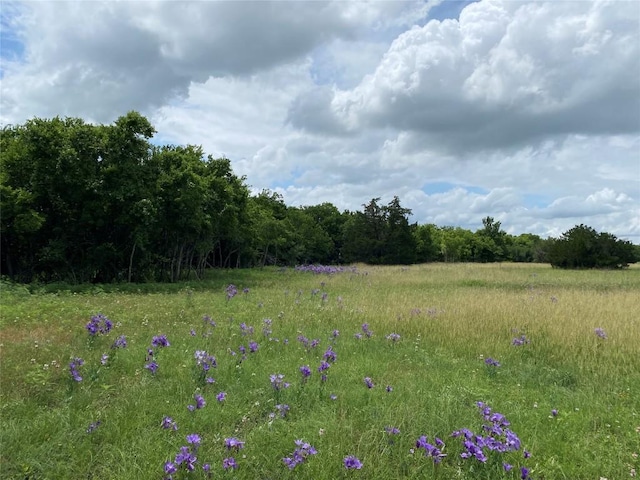 TBD County Road 156, Georgetown, TX 78626