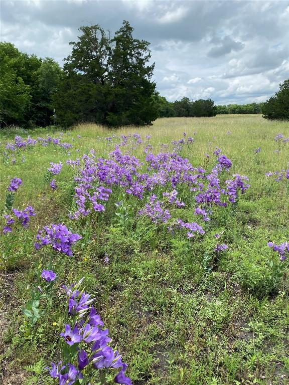 TBD County Road 156, Georgetown, TX 78626 - photo 9