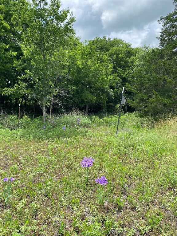 TBD County Road 156, Georgetown, TX 78626 - photo 10