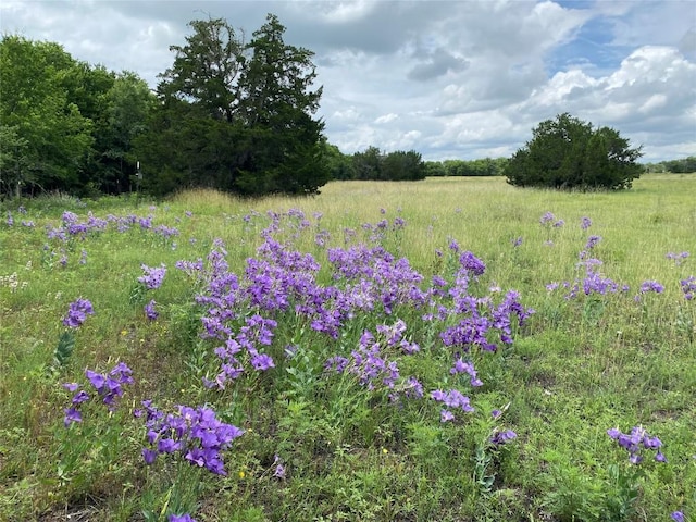 TBD County Road 156, Georgetown, TX 78626 - photo 3