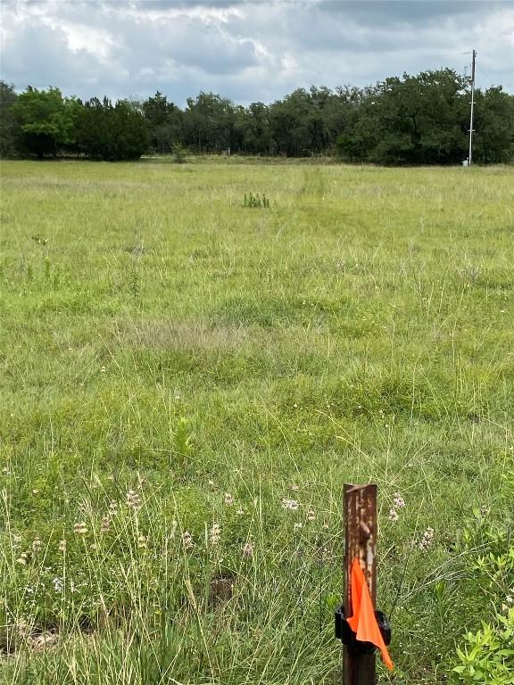 TBD County Road 156, Georgetown, TX 78626 - photo 11