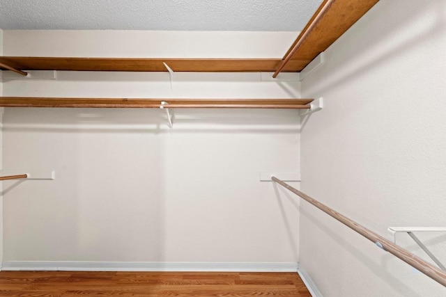 13402 Briar Hollow Dr, Austin, TX 78729 - walk in closet with light wood-style floors
