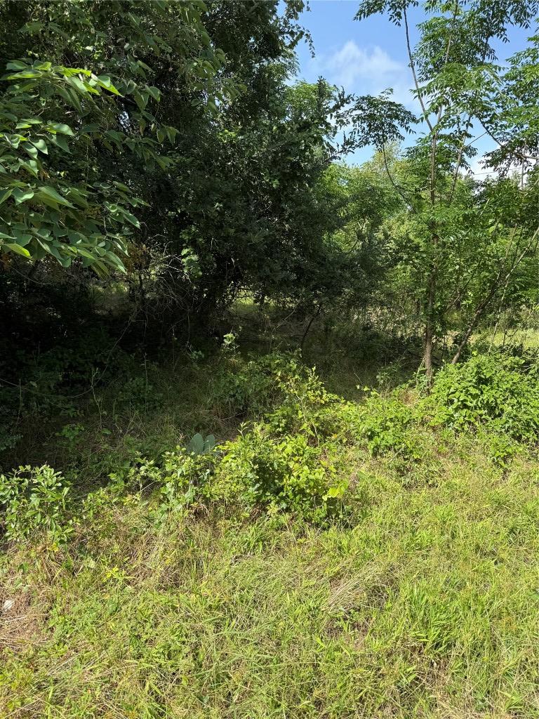 1005 Henderson St, Cameron, TX 76520
